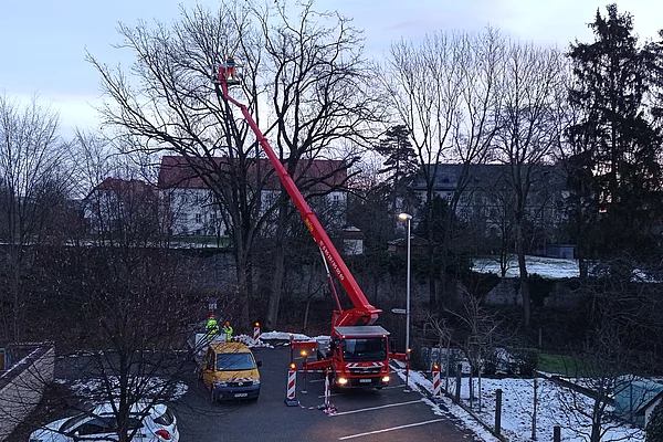 Die Mitarbeiter des Bauhofs beim Baumschnitt