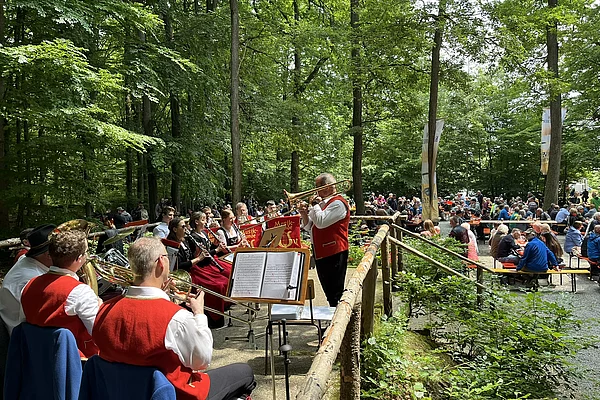 Musikgruppe beim Waldfest